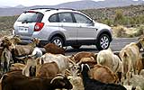 Chevrolet Captiva 2008