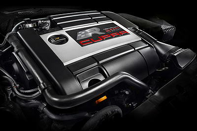SEAT Le&oacute;n CUPRA R. Modelo 2010