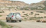 Toyota RAV4 2007