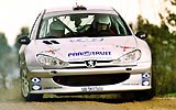 Peugeot 206 S&uacute;per 1.600