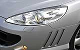 Peugeot Coup� 407 