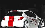 Peugeot 207 RCup
