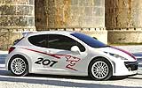 Peugeot 207 RCup