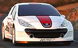 Peugeot 207 RCup