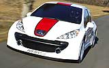 Peugeot 207 RCup