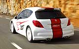 Peugeot 207 RCup