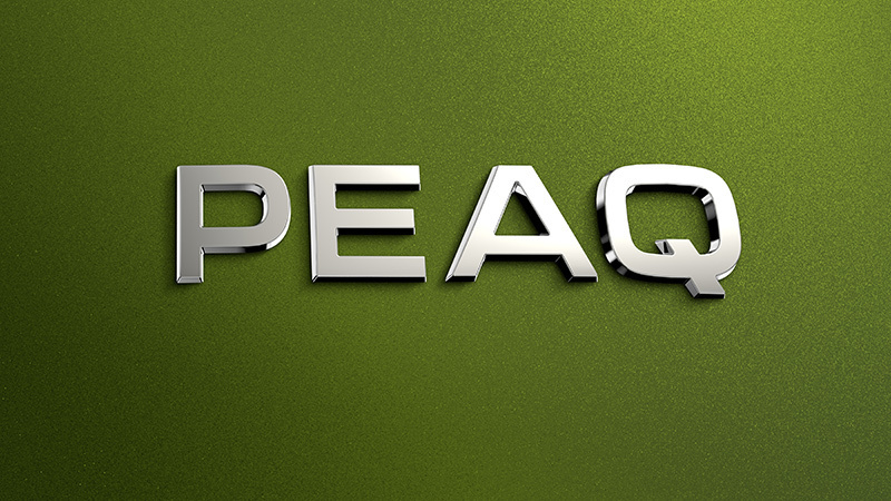 Foto de - skoda peaq 2027