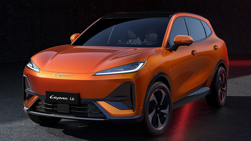 Foto de - lepas l6 2027