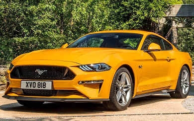 Foto Ford Mustang Fastback GT 5.0 Ti-VCT V8 331 kW (450 CV) Aut. (2018)