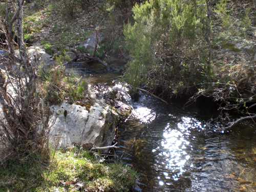 La Hiruela. Riachuelo