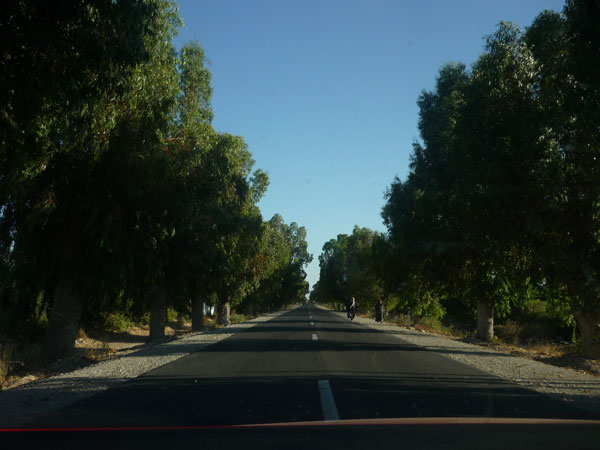 Marruecos. Carretera Marruecos. Poca visibilidad.