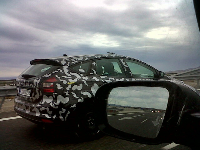 Un espejo contra el guepardo-pantera