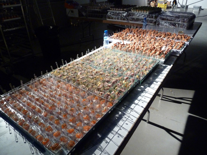 Renault Twizy. Exposición de arte. Cocina