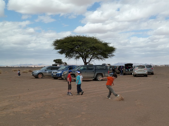 Desierto. Marruecos. Encina. Desierto. Marruecos. Encina.