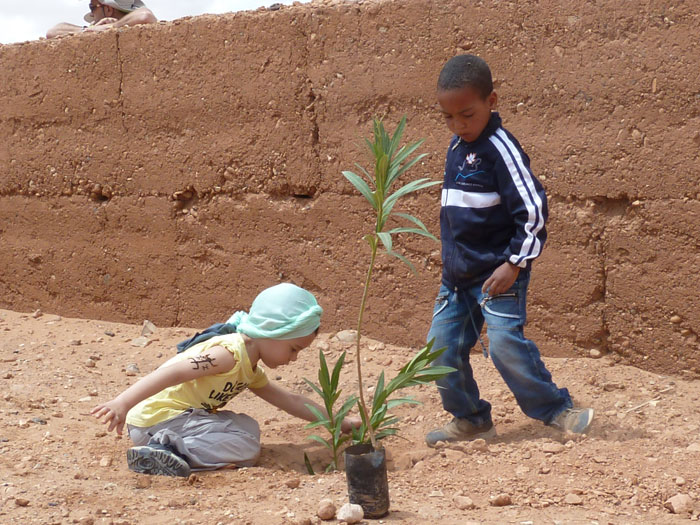 Plantando un árbol
