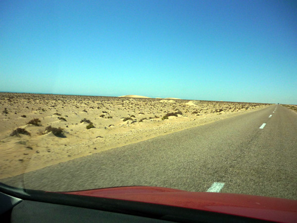 Sahara occidental. Paisaje 1.
