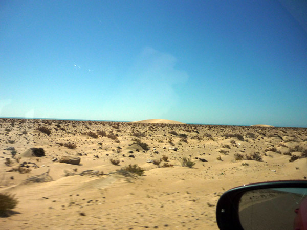 Sahara occidental. Paisaje 2.