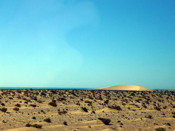 Sahara occidental. Paisaje 3.