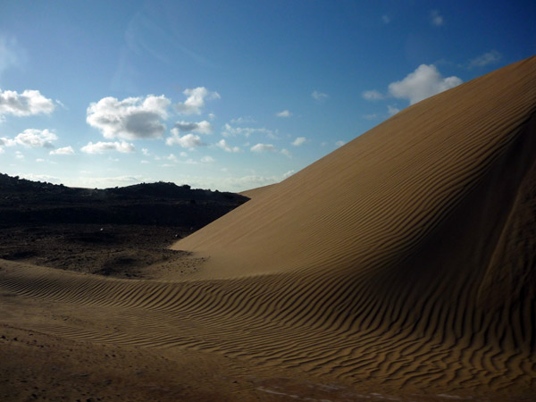 Sahara occidental. Dunas 1.