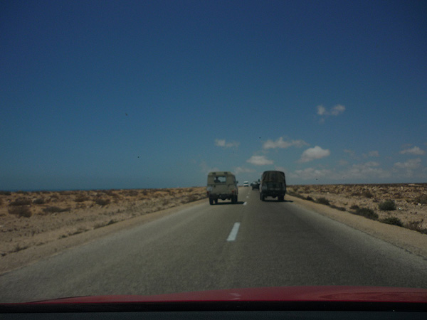 Sahara occidental. Cerca de Boujdour.