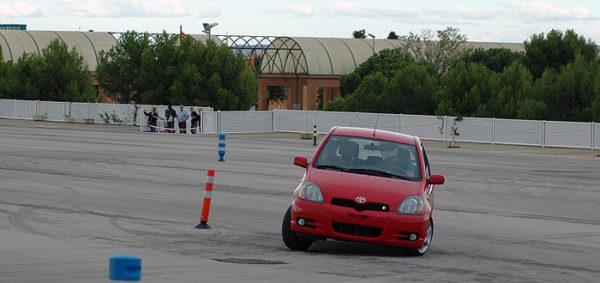 Rembrandt, por los pelos, de regalo