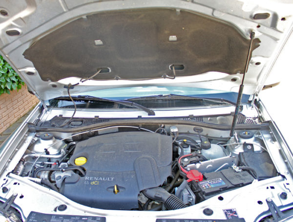 Dejad que los zombis se acerquen a mí