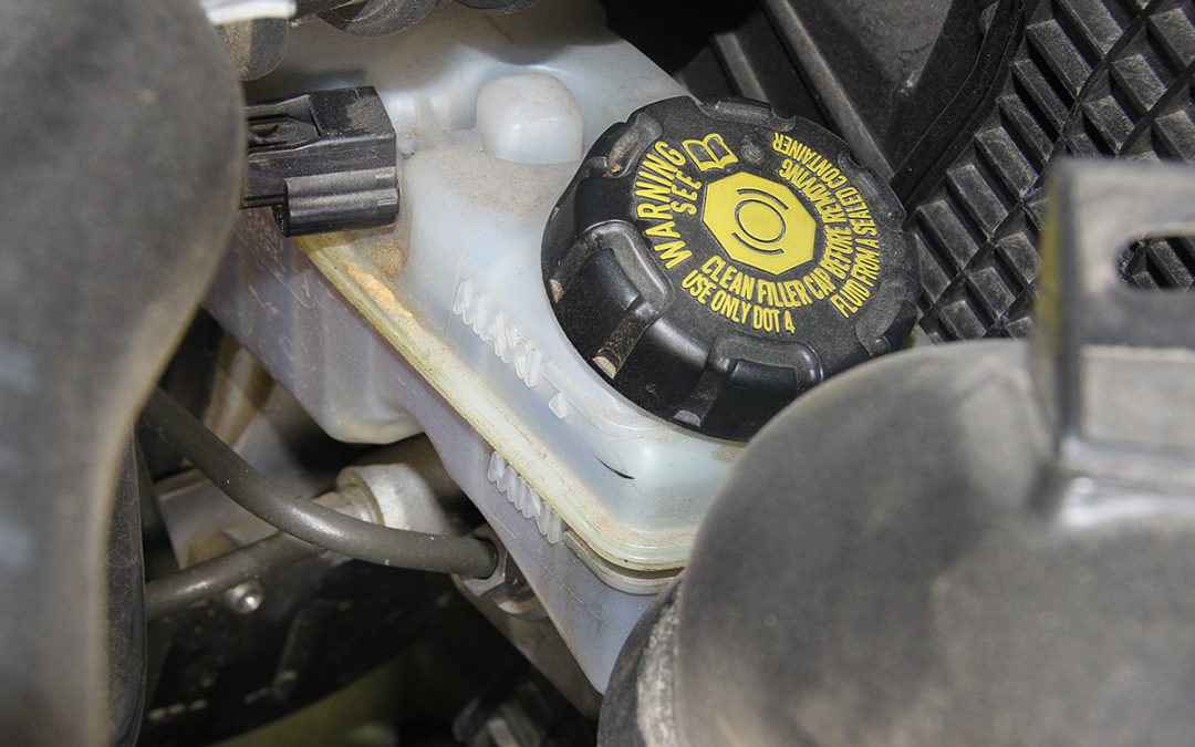 La inconmensurable grandeza del zorro