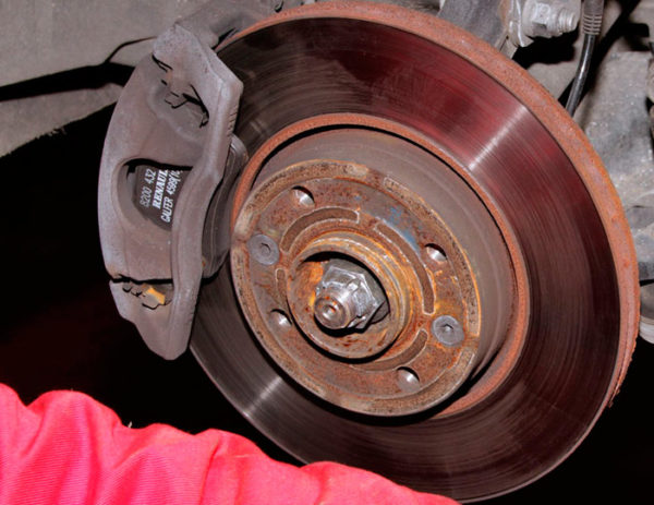 Cronenberg, pásame el número de tu camello