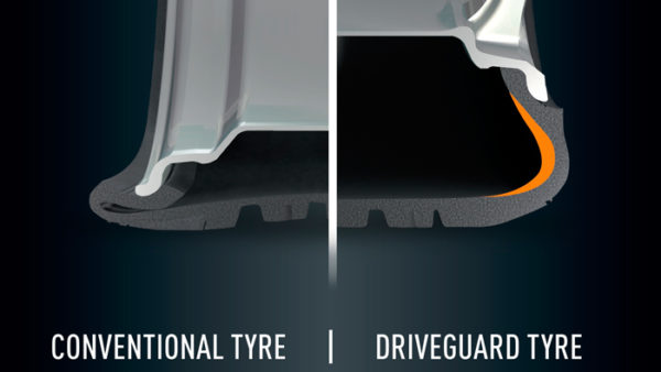 Una oveja en el camino