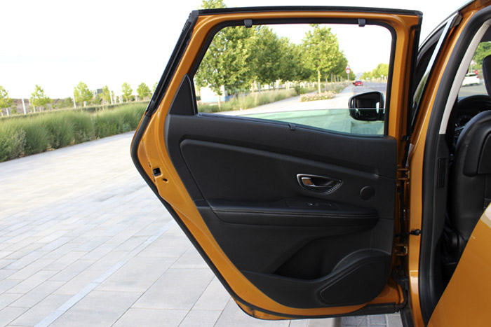 03-Renault Scenic-Left Door