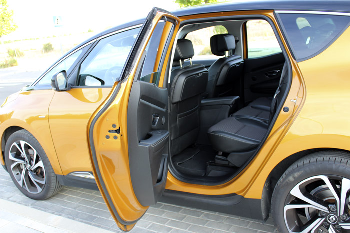 04-Renault Scenic-Left Door