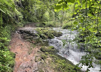 Rio Profundo. Asturias.