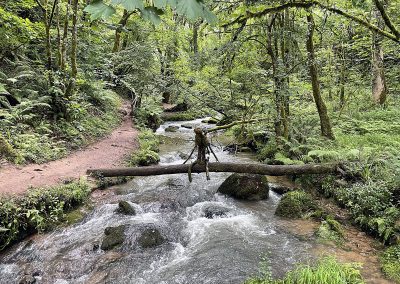 Rio Profundo. Asturias. Figura sobre Tronco.