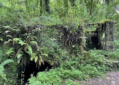 Molin El Pitu. Rio Profundo. Asturias
