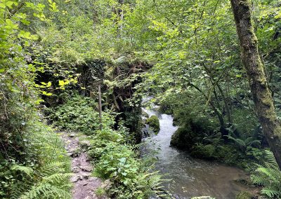 Molin Ullina. Rio Profundo. Asturias
