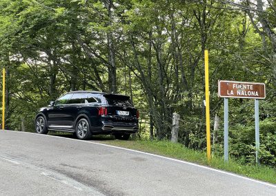 Fuente La Nalona. Kia Sorento
