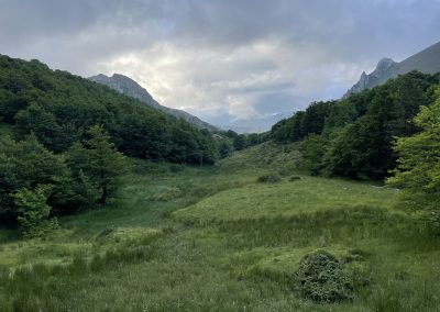 Fuente La Nalona. Cuenca del Nalón