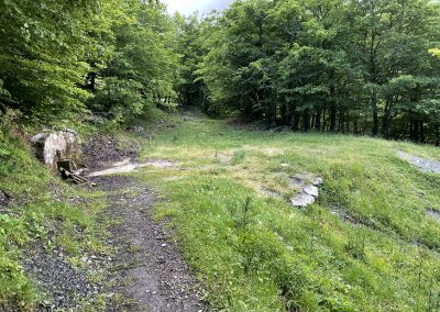 Fuente La Nalona. Nacimiento del Río Nalón
