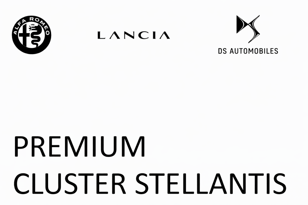 Cluster premium Stellantis