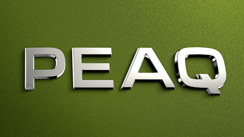 Škoda PEAQ, la marca checa alcanza su cima