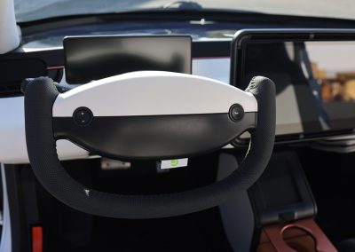 Aptera vista volante