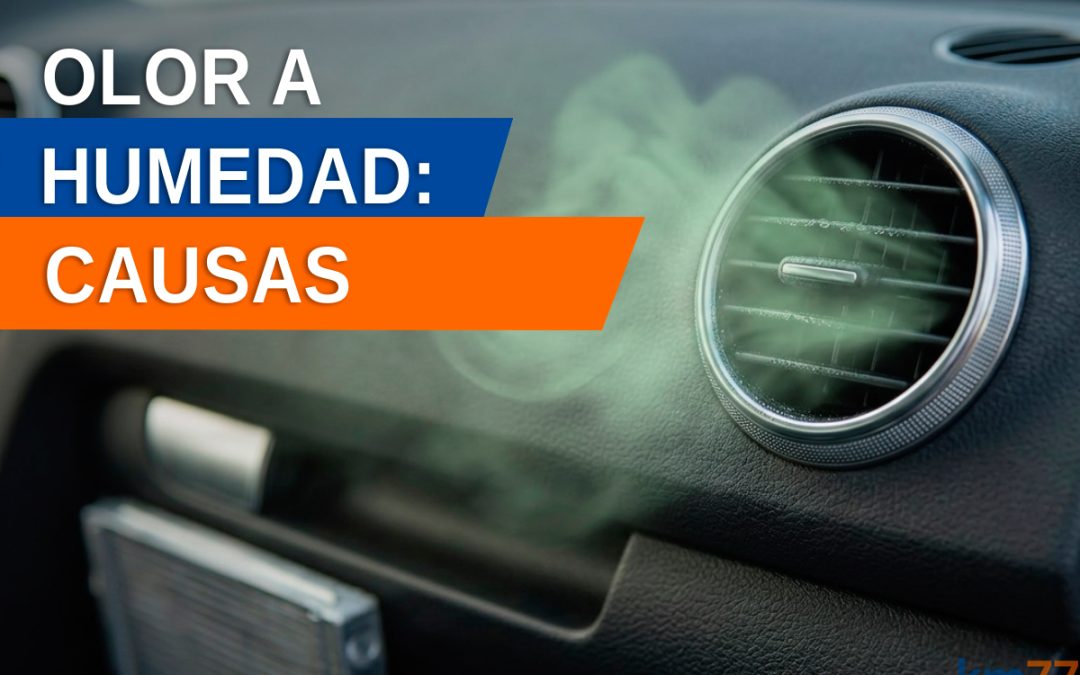 Olor a humedad en el climatizador del coche: por qué sucede